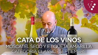 Cata de los vinos Moscatel seco y etiqueta amarilla  Vinos del mes Septiembre Membresía Classic [upl. by Marshal]