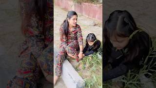 Humare piche dekho kon pad gya😳🐘 prishaandmom viralvideo trending shorts [upl. by Uel171]