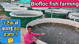 Biofloc Fish Farming in India  एक टैंक से 80000 की कमाई सच या झूठ  मछली पालन कैसे करे [upl. by Crary]