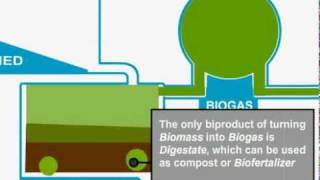 Biomass Gasification [upl. by Yeblehs]