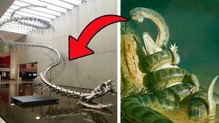 TOP 10 Animals Believed Extinct Recently Found Alive [upl. by Ijok]