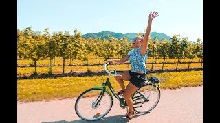 Austria Winery Tour [upl. by Leopoldeen243]