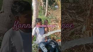 tamilsong kannanae kannae song tamil kannaanakanney [upl. by Rehpetsirhc]