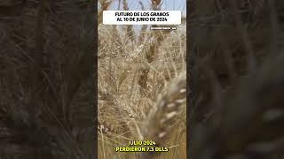 Futuro de los granos con cierre al 10 de junio de 2024 agronoticias shortsvideo [upl. by Ailgna]