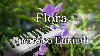 Flora／Ludovico Einaudi ルドヴィコ・エイナウディ ピアノ cover [upl. by Beaver]