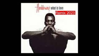 What Is Love  Haddaway ¦¦ Tommer Mizrahi Remix [upl. by Einotna565]