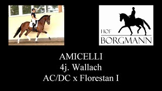 AMICELLI  Hof Borgmann  Juni 2022 [upl. by Riker]