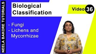 Biological Classification  NEET  Fungi  Lichens and Mycorrhizae  Neela Bakore Tutorials [upl. by Isiad454]