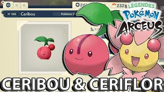 Trouver CERIBOU et CERIFLOR  LÉGENDES POKÉMON ARCEUS [upl. by Aleemaj]