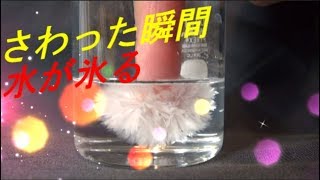 おもしろ科学実験 さわった瞬間水が氷る crystallize it in an instant [upl. by Eelrahc]