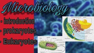 Microbiology  introduction amp prokaryotes amp eukaryote [upl. by Marchelle]