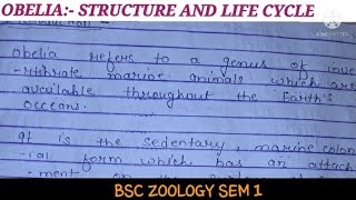 STRUCTURE AND LIFE CYCLE OF OBELIA [upl. by Inohtna]