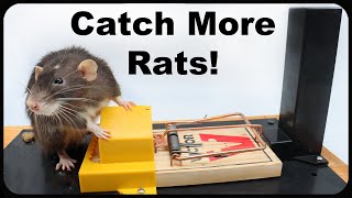 How To Catch MORE Rats With The Twin Home Experts Trapping System Mousetrap Monday [upl. by Anibur]