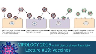 Virology 2015 Lecture 19 Vaccines [upl. by Rolanda]