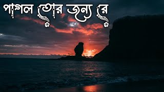 পাগল তোর জন্য রে। Pagol Tor Jonno Re। Slowed amp Reverb। Lofi Music [upl. by Nnoryt]