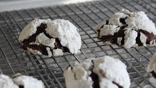 Chocolate Snowcap Cookies  Classic Holiday Cookie Recipe [upl. by Mahon]