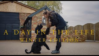 A Day in the Life at Protection Dogs Worldwide Winter Edition [upl. by Fine]