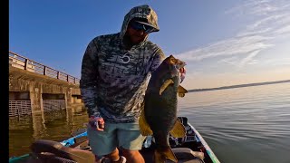 Bassmaster Opens EQ Wheeler Lake Tournament Practice [upl. by Esdnil]