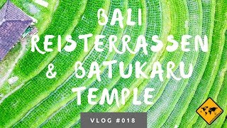 Die schönsten Bali Reisterrassen in Jatiluwih amp Batukaru Temple  Unsere Bali Erfahrungen [upl. by Newbold]