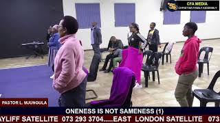 ONENESS IS NOT SAMENESS 1 by Pastor L Mjungula [upl. by Emelia]