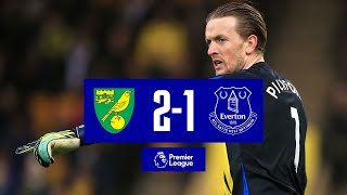 NORWICH CITY 21 EVERTON  PREMIER LEAGUE HIGHLIGHTS [upl. by Gentry423]