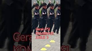 Gerak IPSI Jurus 3 ikspi ipsiindonesia pencaksilat [upl. by Morgen]