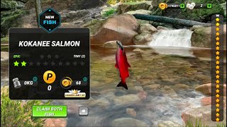 Kokanee Salmon new epic Fishing Clash [upl. by Llevart]