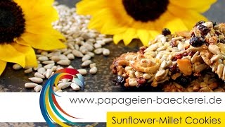 Make your own Parrot Cookies by parrotbakery  Sunflower  Millet Cookies [upl. by Llertnahs]