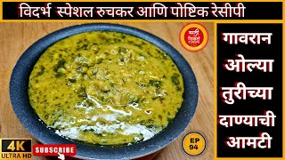 गावरान ओल्या तुरीच्या दाण्यांची आमटी  turichya danyachi amti  turichi amti recipeVidarabh Special [upl. by Wulf]