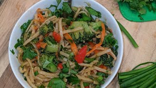 How to make Stir Fry with Noodles Recipe [upl. by Lorac]