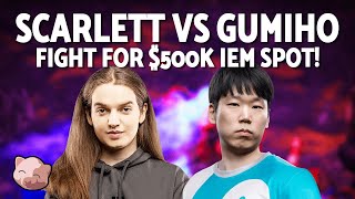 SCARLETT vs GUMIHO Qualifying Match  500000 IEM Katowice Qualifiers Bo5 ZvT  StarCraft 2 [upl. by Ephrem]