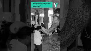 கடவுள் இருக்காரா இல்லையா trending kundrakudi elephantdeath facts [upl. by Gudrun]