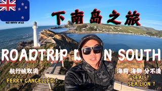 字幕 Roadtrip Down South  Ferry Cancelled Me  Seal or Sea Lion  下南岛之旅 航行取消 海狗海狮  NZ WHV 12 [upl. by Ilenna]