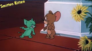 Smitten Kitten 1952 Tom and Jerry Cartoon Short Film  Review [upl. by Madriene]