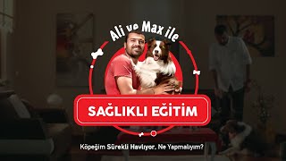 KÖPEĞİM SÜREKLİ HAVLIYOR NE YAPMALIYIM SağlıklıEğitim [upl. by Avlasor]