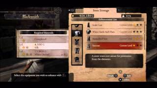 Dragons Dogma Expert Walkthrough 30  Nameless Terror and Supply amp Demand [upl. by Dust467]