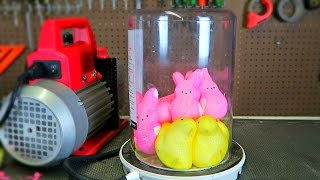 What Will Happen If You Put Peeps in a Vacuum Chamber  Easter Special [upl. by Arraek]