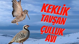 Keklik ÇullukYELVE Tavşan Avıçullukharehunting woodcock keklik tavşanavı avcı keşfet [upl. by Lateh]