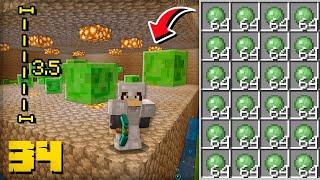 A MELHOR FARM de SLIME do JOGO  Minecraft Survival 34 [upl. by Diantha316]