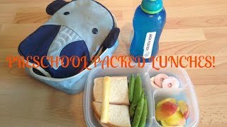 Preschool Packed Lunch  PICNIC LUNCH STYLE  ThroughMummysEyes [upl. by Yseulte]