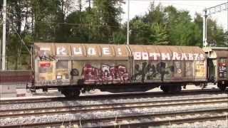 Swiss Graffiti Freight Train [upl. by Suiradel]