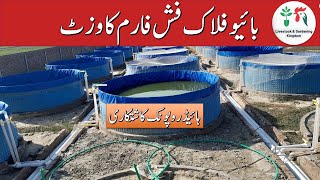 Visit of Biofloc fish farm in Pakistan part2  biggest Biofloc Setup with hydroponic farming [upl. by Ziom]