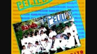 BANDA PELILLOSLA CHULA [upl. by Eidnalem]