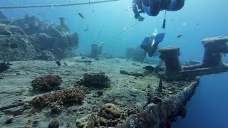 Thistlegorm wreck dive outside [upl. by Minetta]