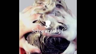 NEU von Schwarzkopf Shampoo ohne Schnickschnack [upl. by Jeffery498]