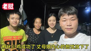 孵化小雞成功，再次開箱存活率驚人，老撾丈母娘內心的擔憂放下了 [upl. by Hawley]