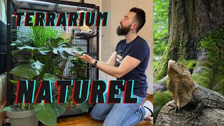 UN TERRARIUM NATUREL POUR MON IGUANE NOIR CTENOSAURA  REPTILE SQUAD [upl. by Atsok89]