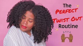 The PERFECT TWISTOUT Routine🌟ITS FOOLPROOF  Type 4 NATURAL HAIR [upl. by Crelin]