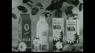 Borden Dairy Company  Milk  Measuring Day  Vintage Commercial  1950s  1960s [upl. by Goldfinch]