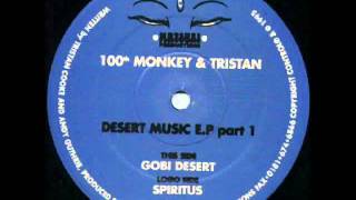 100th Monkey amp Tristan  Gobi Desert wmv [upl. by Wolenik]